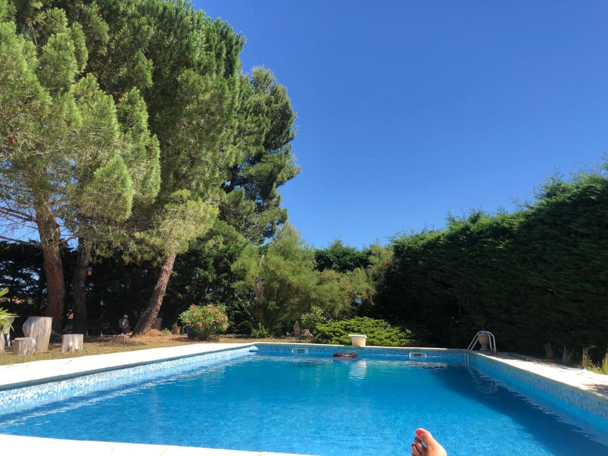Le Paradis D'Anny Rouffiac-d'Aude Экстерьер фото
